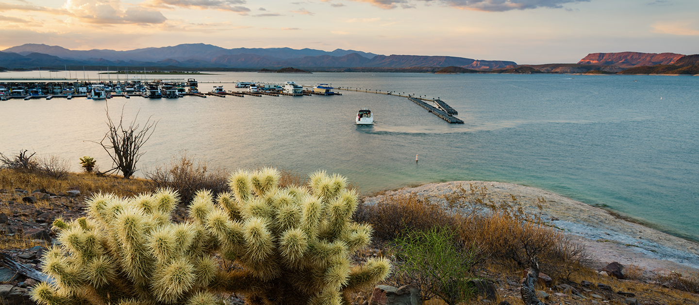 Lake Pleasant blue water surrounded by desert mountains and saguaro cactus